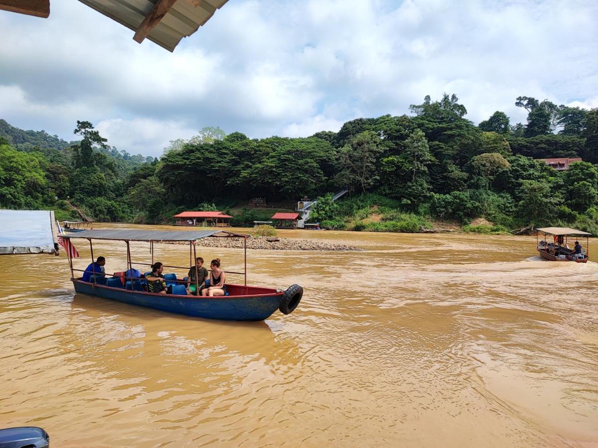 Tekoma Resort Taman Negara クアラ・ターハン エクステリア 写真
