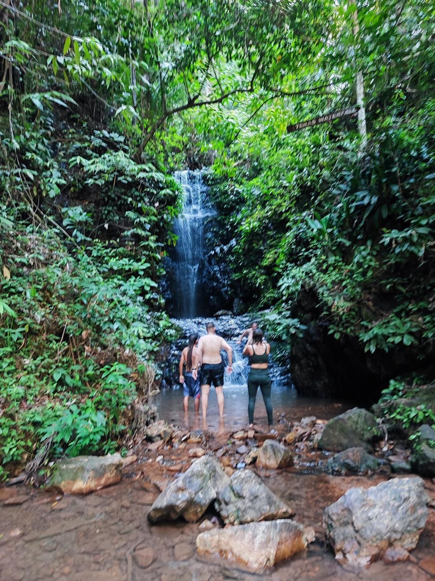 Tekoma Resort Taman Negara クアラ・ターハン エクステリア 写真