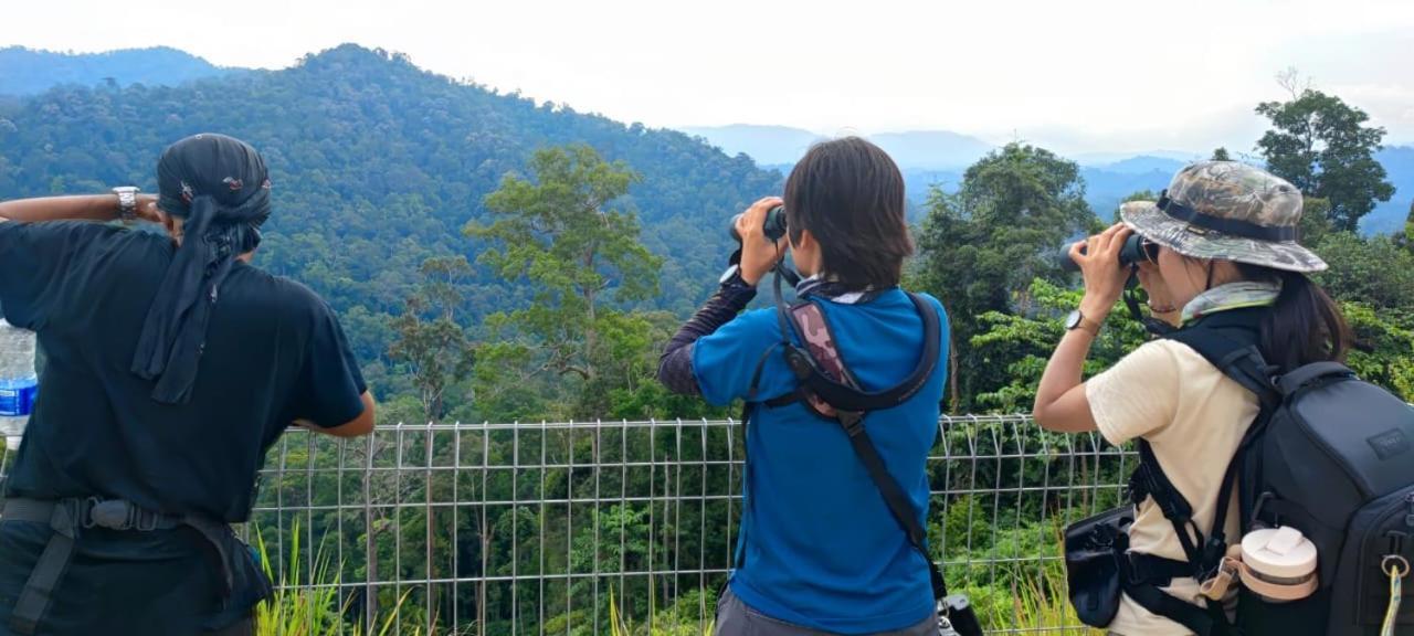 Tekoma Resort Taman Negara クアラ・ターハン エクステリア 写真
