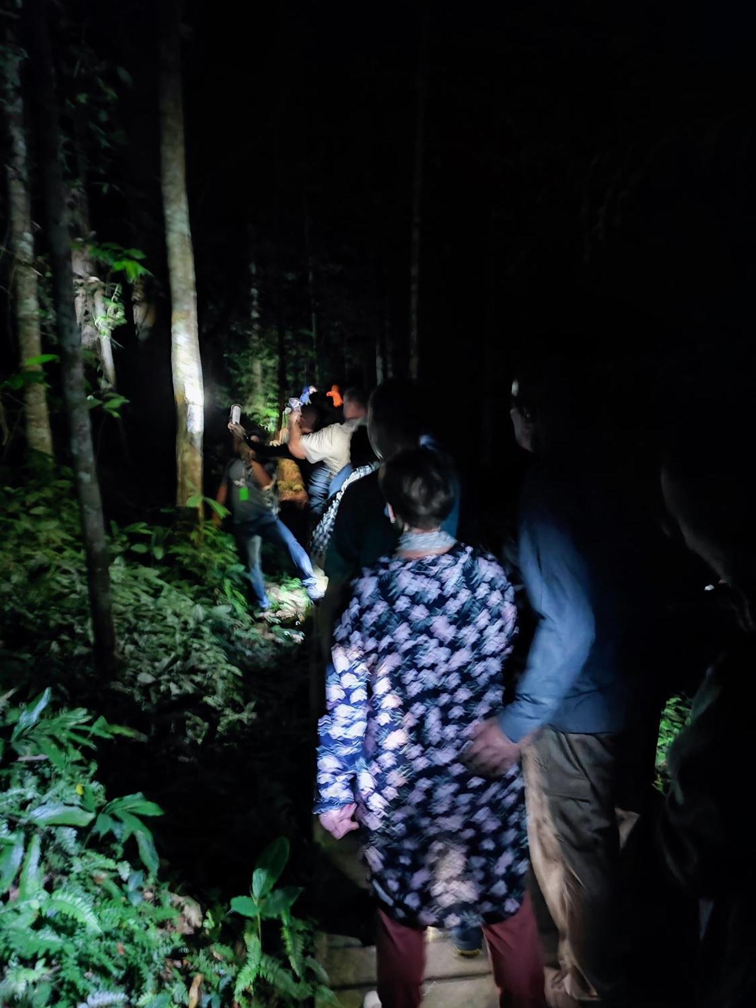 Tekoma Resort Taman Negara クアラ・ターハン エクステリア 写真